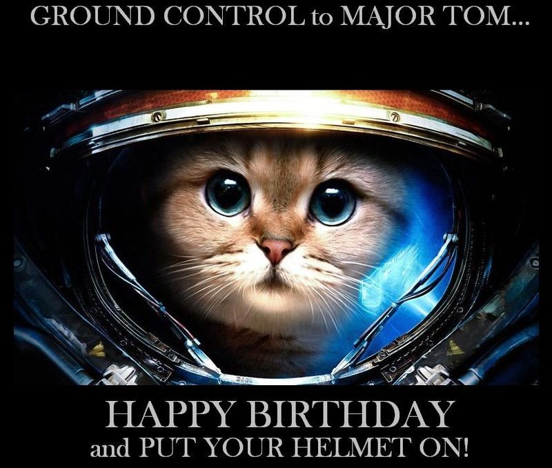 Happy Birthday, TOM! - VeggieBoards